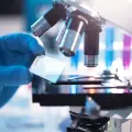 L’Intelligenza Artificiale entra nel laboratorio di PMA