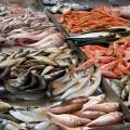 Pesce non tracciato sequestrato nel Napoletano