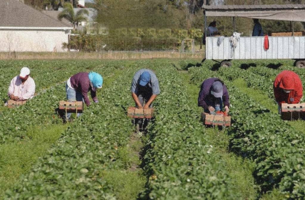 Fermare il lavoro nelle ore più calde
