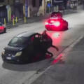 Sorprendono rapinatori in flagrante: carabiniere si aggrappa all’auto e ne blocca uno