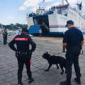 Ischia: primo bilancio dei carabinieri sui controlli