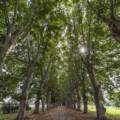 Scafati: apre il Parco del Real Polverificio Borbonico
