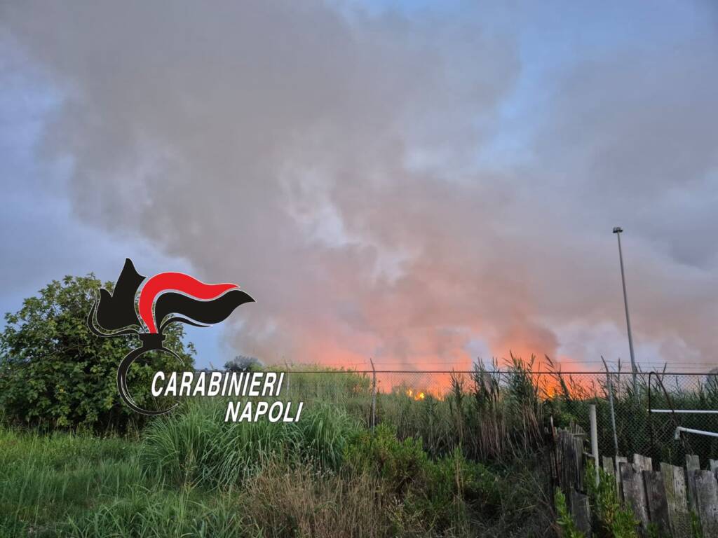 Appicca il fuoco a sterpaglie, brucia sette ettari di vegetazione